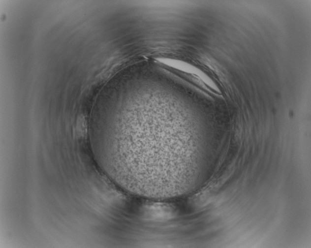 X0000088580467200706081127