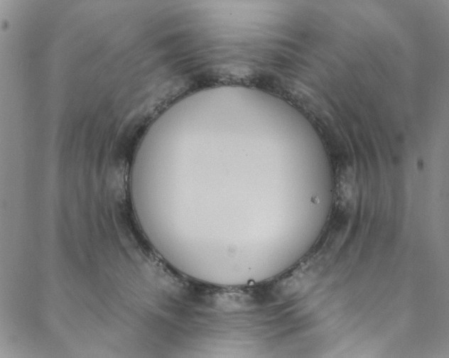 X0000088580468200706081127