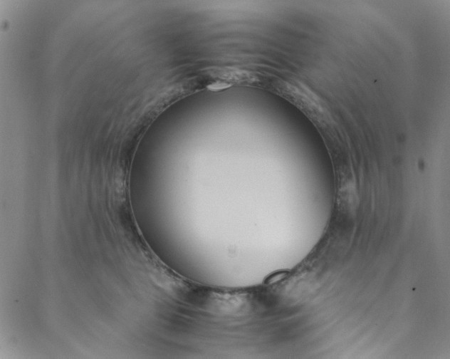 X0000088580469200706081127