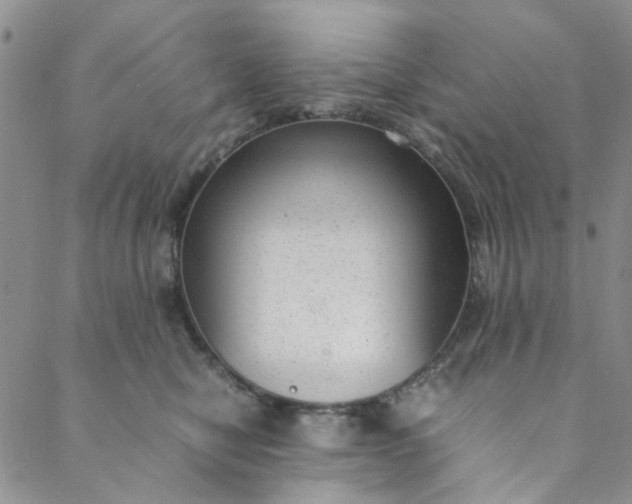 X0000088580470200706081127