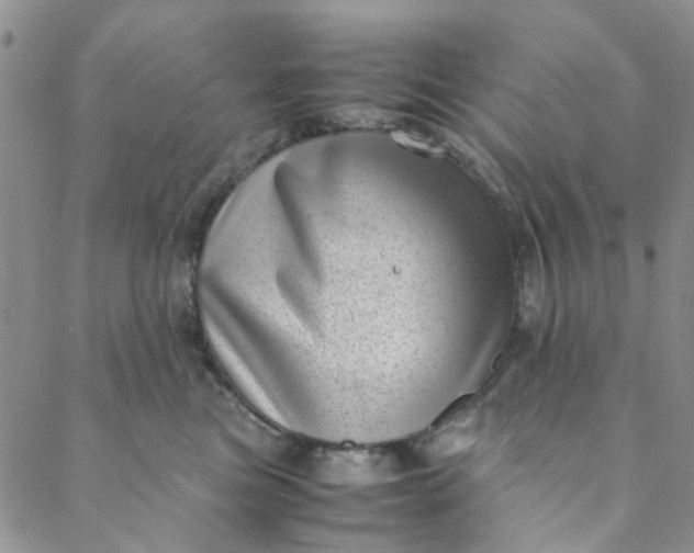 X0000088580473200706081127