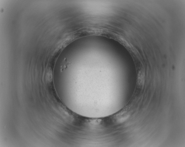 X0000088580474200706081127