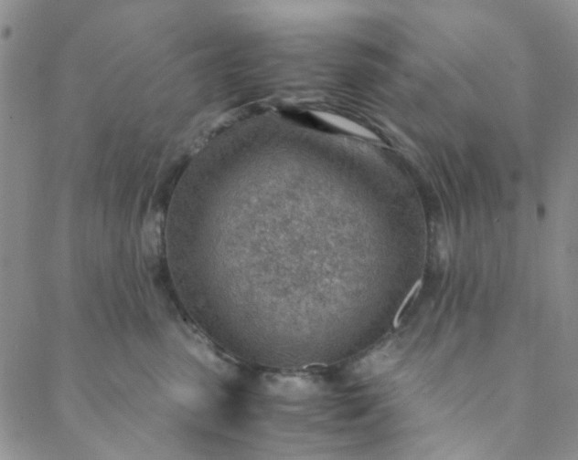 X0000088580475200706081127