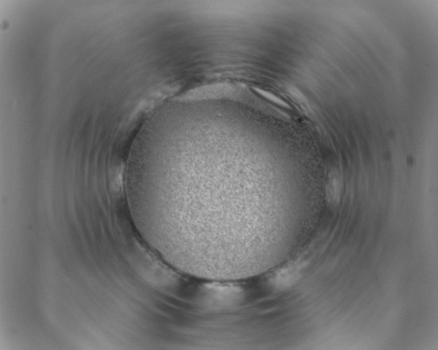 X0000088580477200706081127