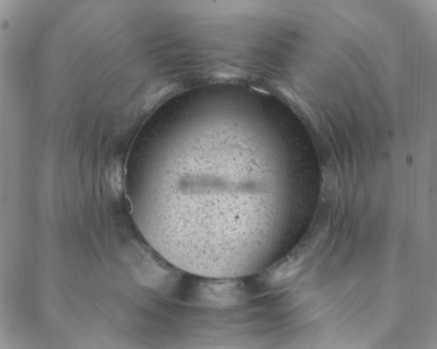 X0000088580479200706081127