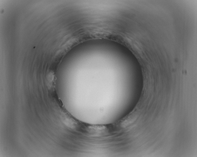 X0000088580480200706081127