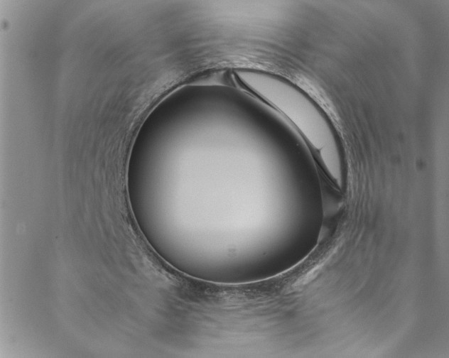 X0000088580481200706081126