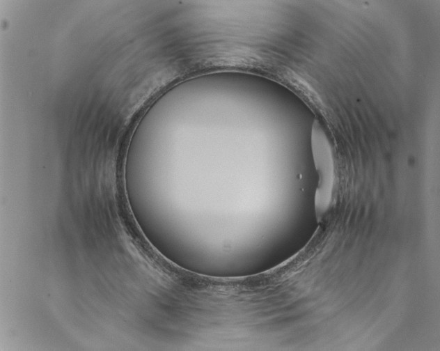 X0000088580482200706081126