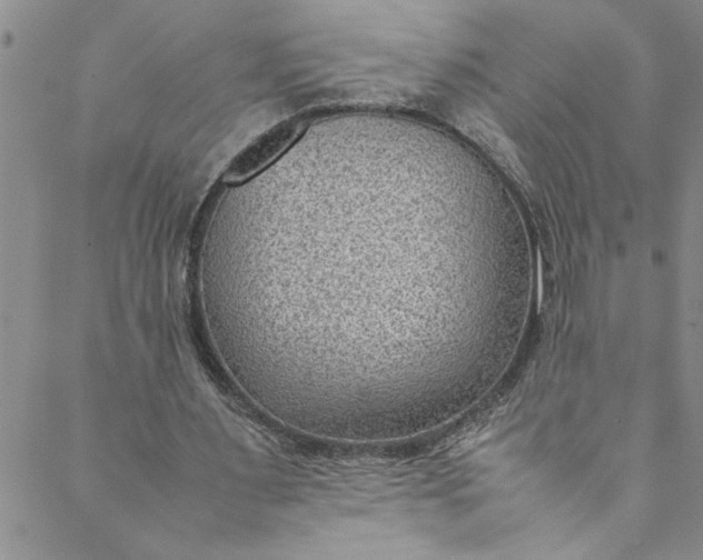 X0000088580483200706081126