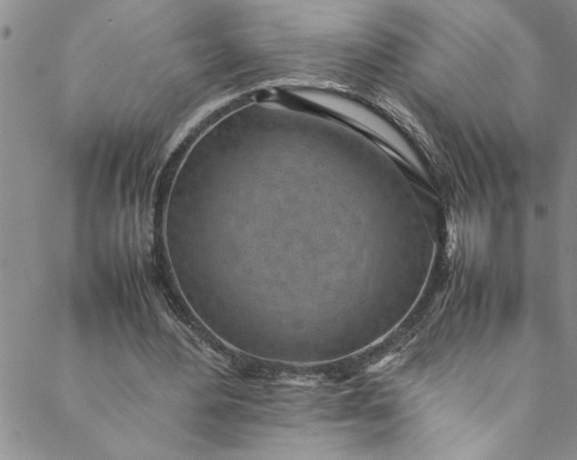 X0000088580484200706081126