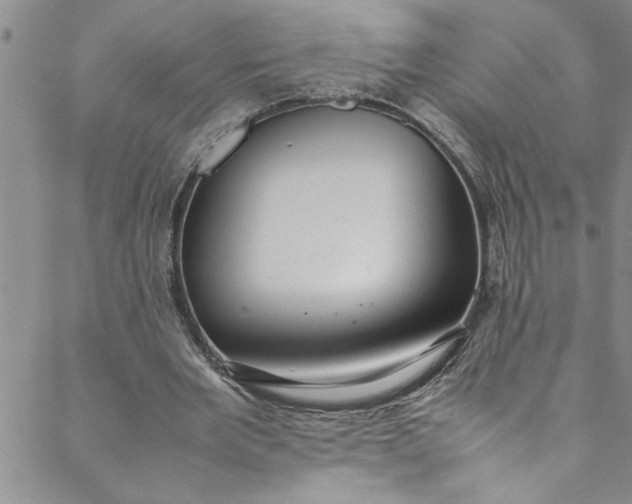 X0000088580485200706081126