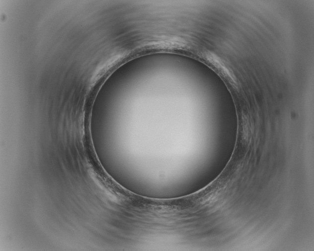 X0000088580486200706081126