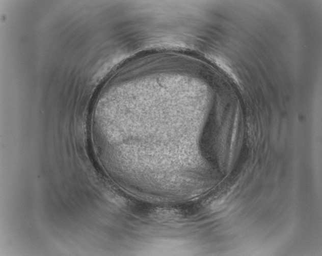 X0000088580487200706081126