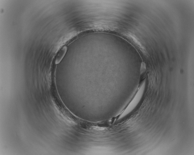 X0000088580488200706081126