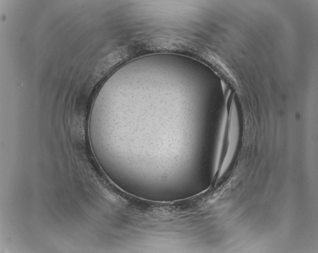 X0000088580489200706081126