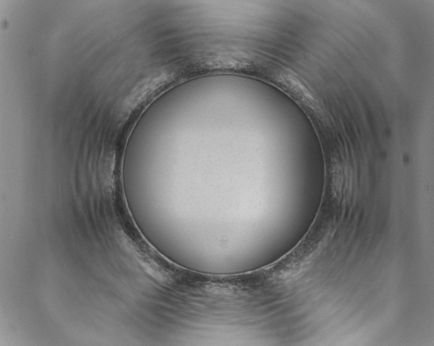 X0000088580490200706081126