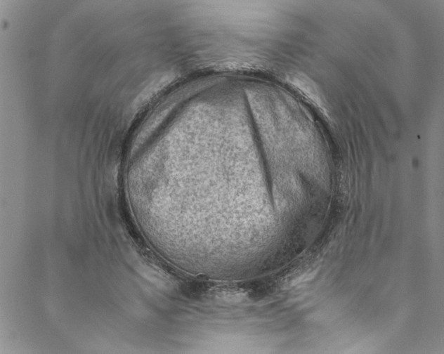 X0000088580491200706081126