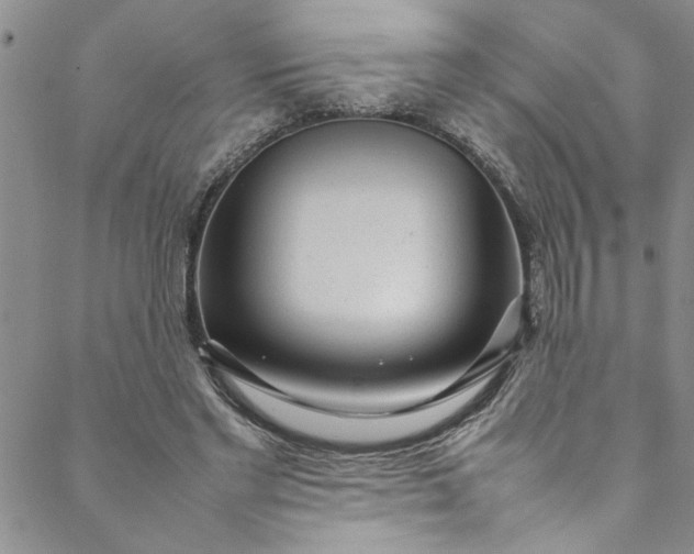 X0000088580493200706081126