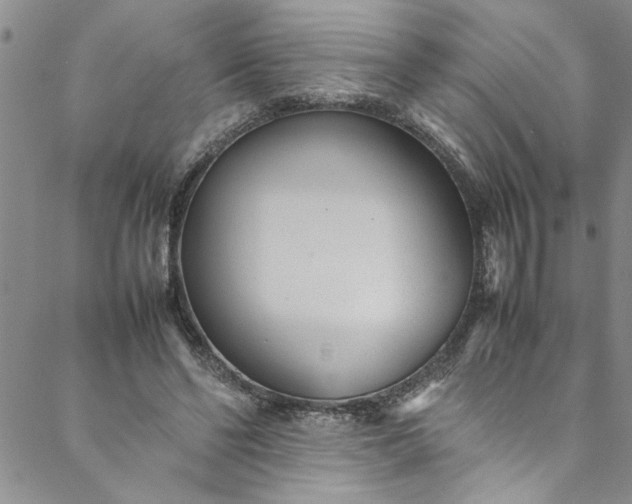 X0000088580494200706081126