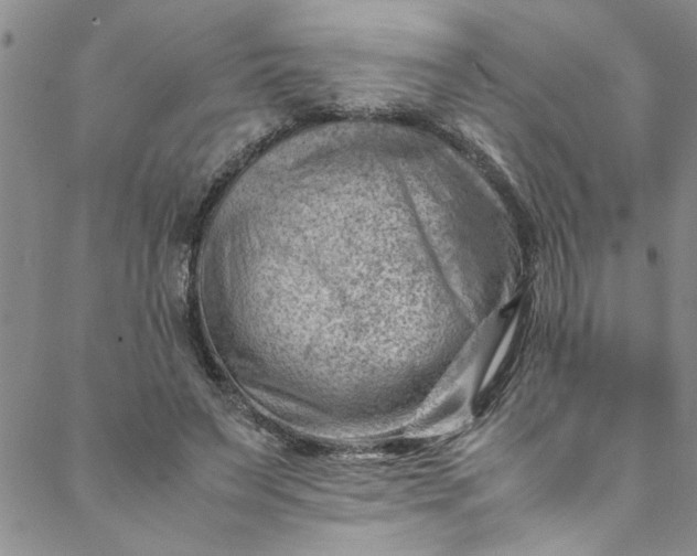 X0000088580495200706081126