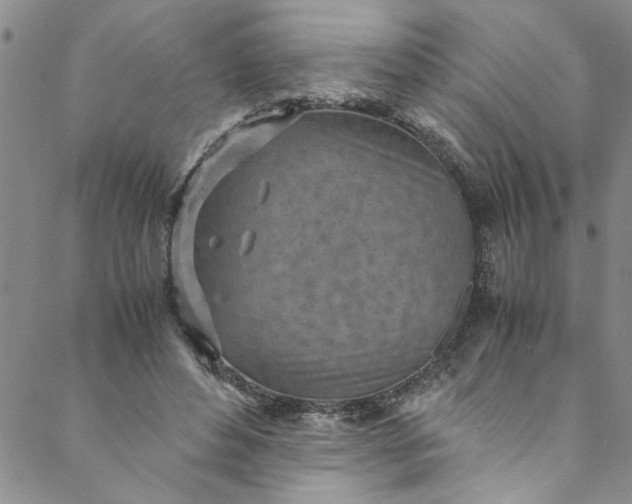 X0000088580496200706081126