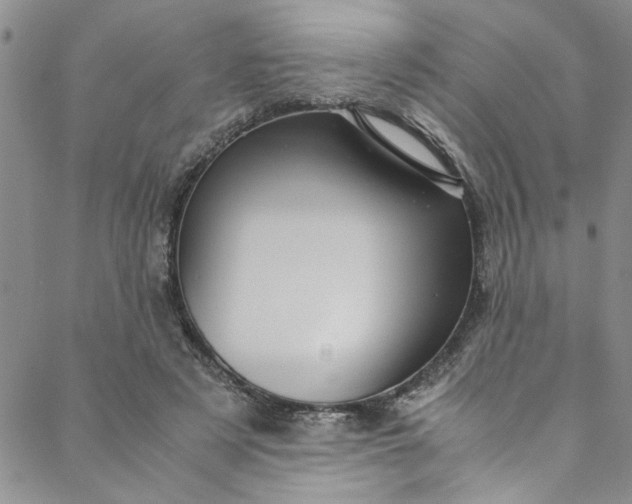 X0000088580497200706081126