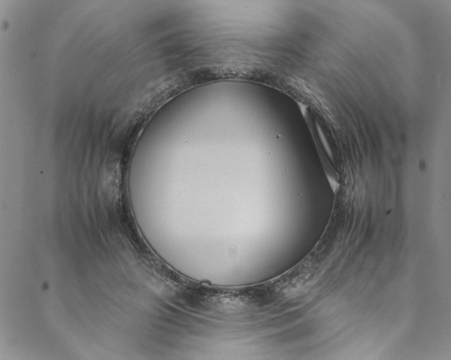 X0000088580498200706081126