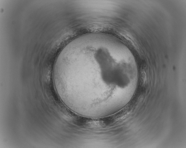 X0000088580499200706081126