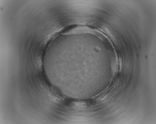 X0000088580500200706081126