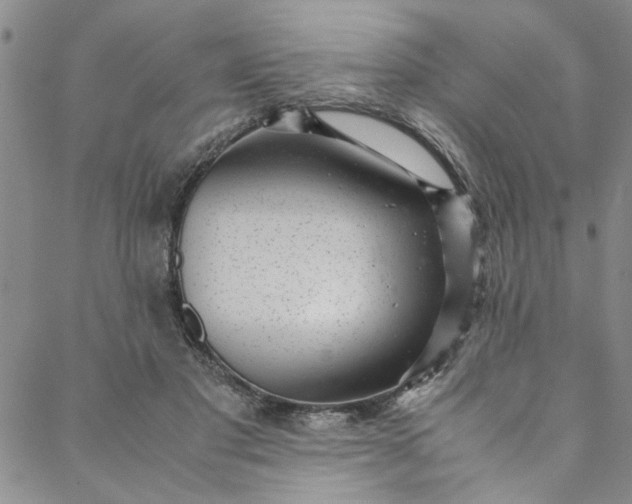 X0000088580501200706081126