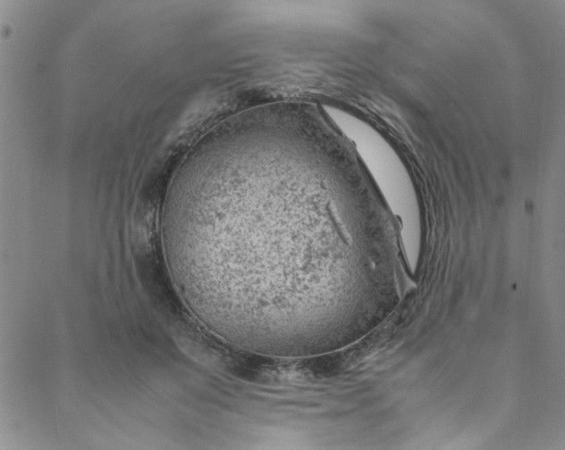 X0000088580503200706081126