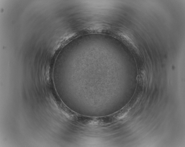 X0000088580504200706081126