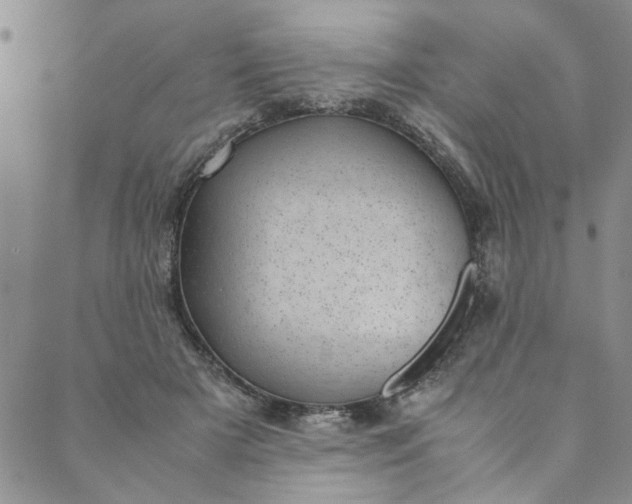 X0000088580505200706081126