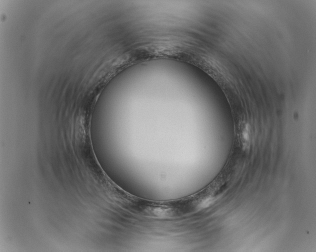 X0000088580506200706081126