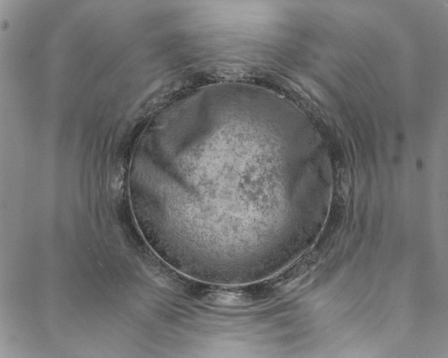 X0000088580507200706081126