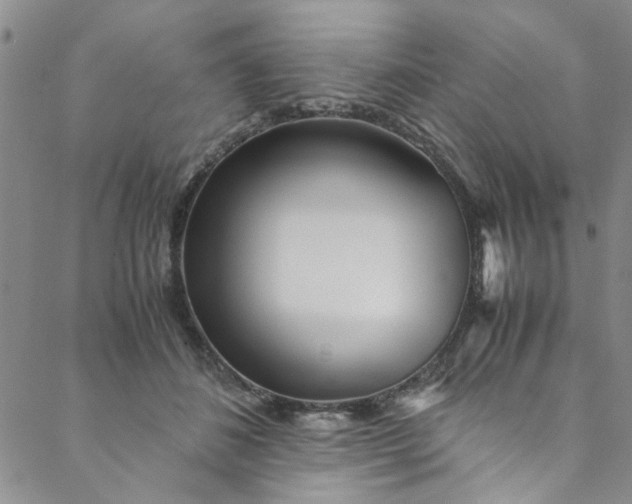 X0000088580508200706081126