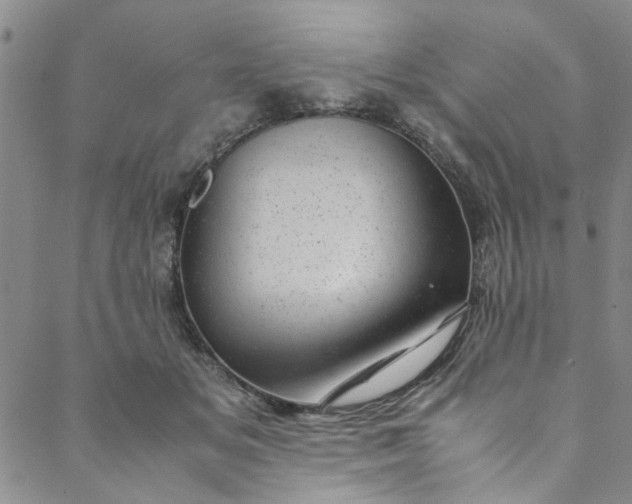 X0000088580509200706081126