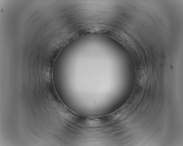 X0000088580510200706081126