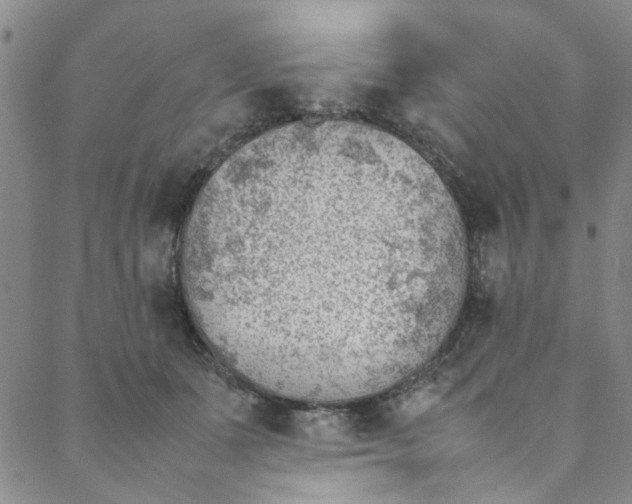 X0000088580511200706081126