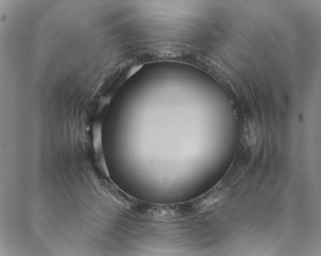 X0000088580512200706081126