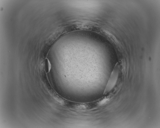 X0000088580513200706081126