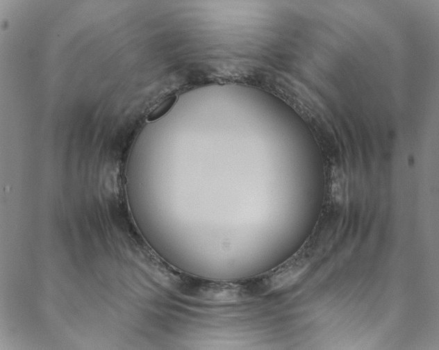 X0000088580514200706081126