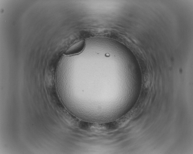 X0000088580515200706081126