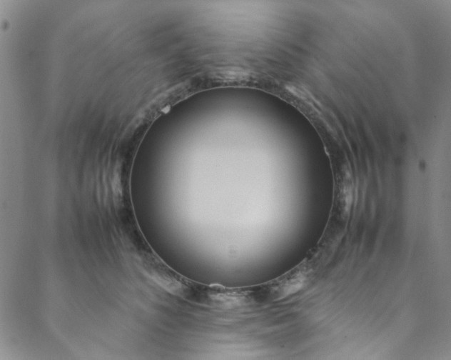 X0000088580516200706081126