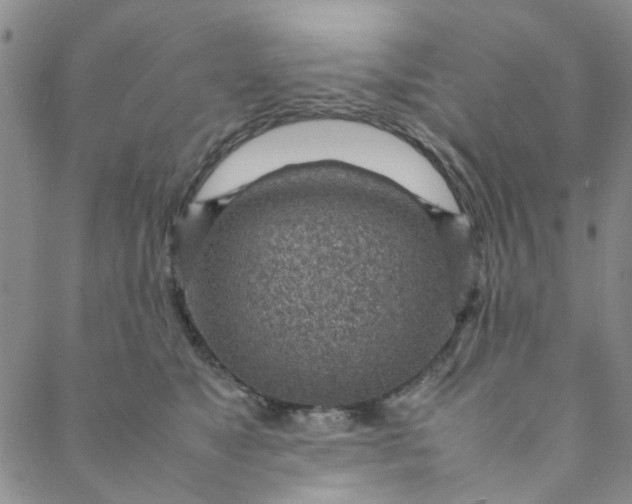 X0000088580517200706081126