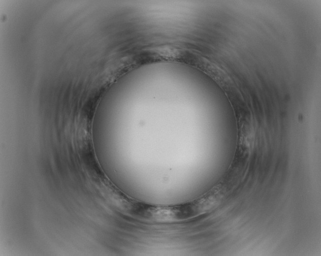 X0000088580518200706081126