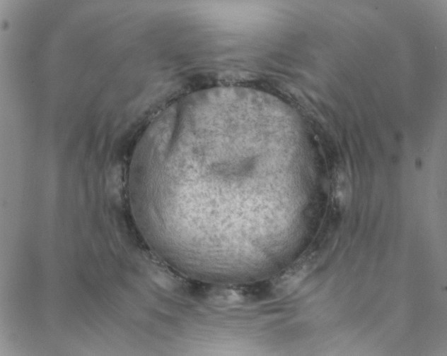 X0000088580519200706081126