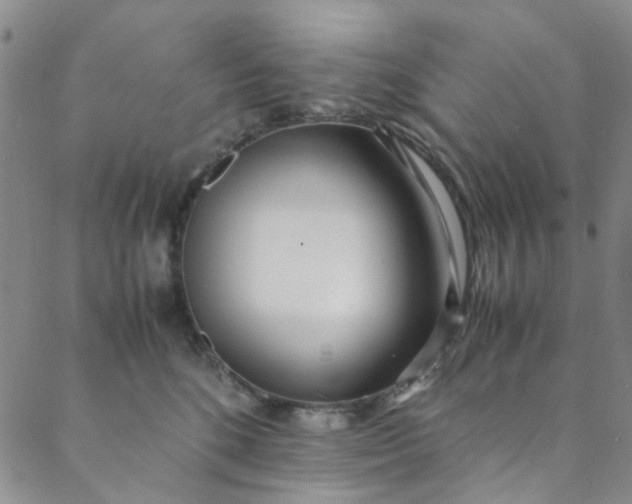 X0000088580520200706081126