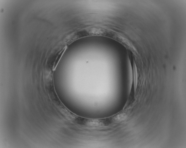 X0000088580521200706081126