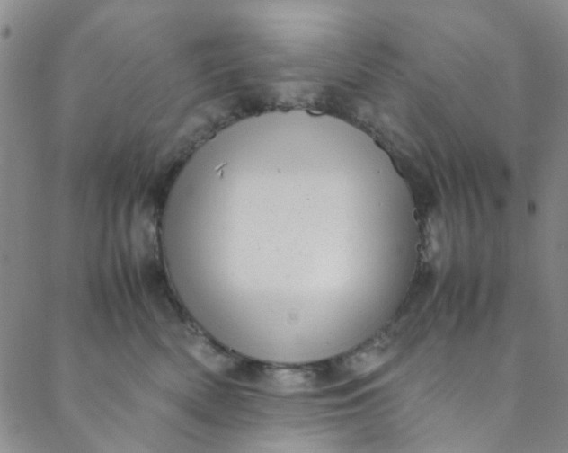 X0000088580522200706081126